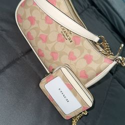 Coach Tery Bag And Matching Wallet 