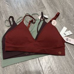 Danskin Bralette Medium 3 Pack Mix 