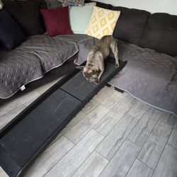 Dog Ramp. Foldable And Durable.