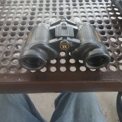 Bushnell 7x35 WA Binoculars 