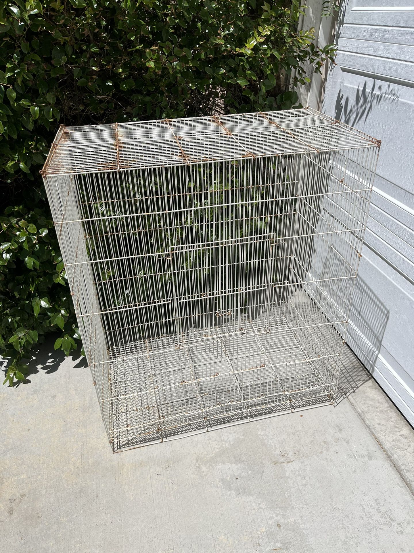 Bird Cage $30