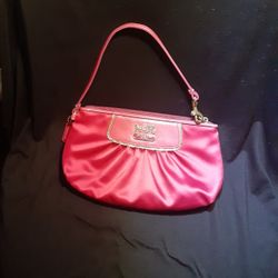COACH Bag/wristlet - NEW
