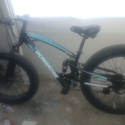 Fat Tire  Bike