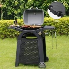 Brand New Bbq 