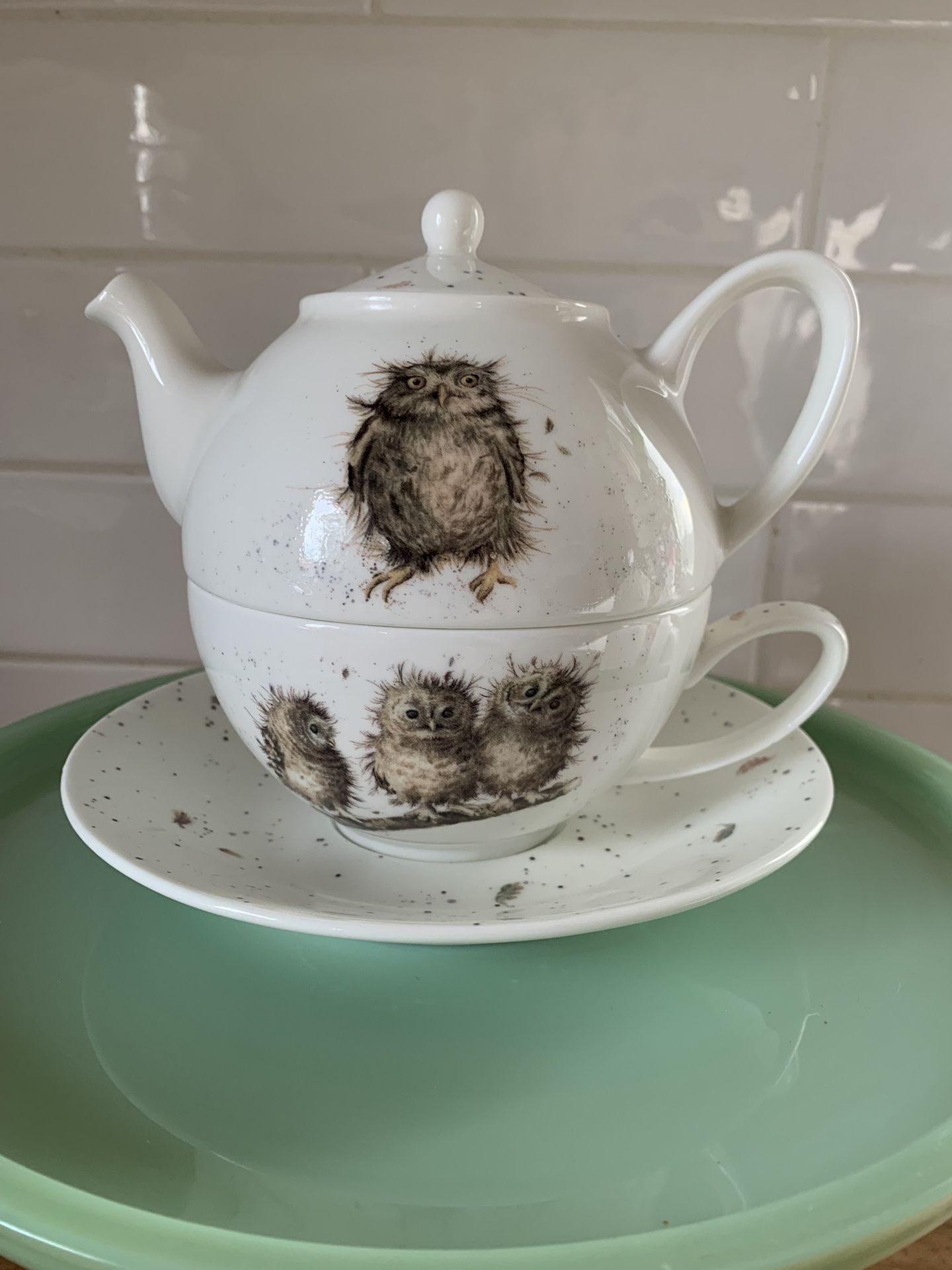 Royal Worcester Wrendale Designs "What A Hoot" Owl Tea for One Stacking