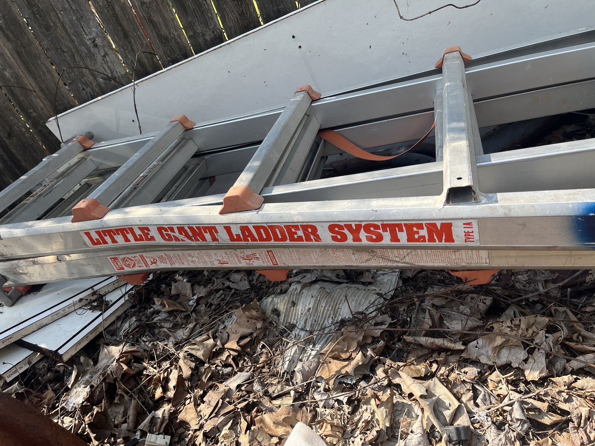 Little Giant Ladder $150
