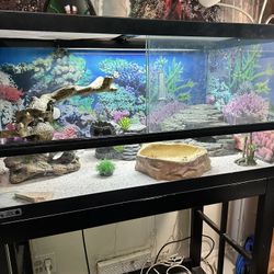 Terrarium - 120 Gallon