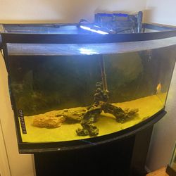 Fish Tank/ Aquarium 