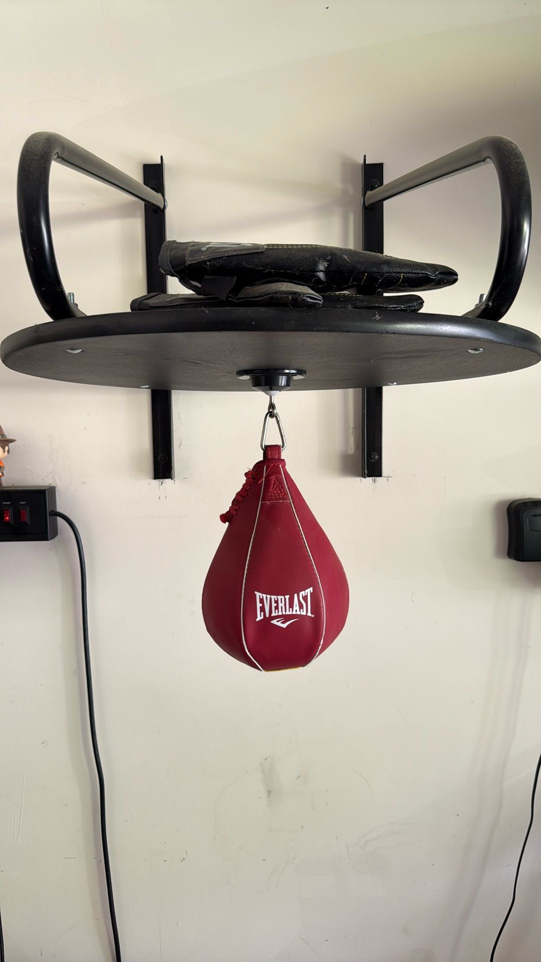 Everlast Speed Bag Kit