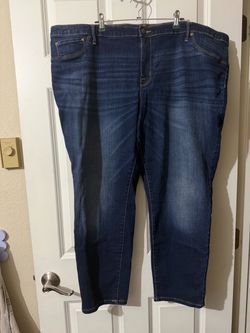 24W Dark Wash Blue Denim Jeggings Plus
