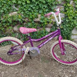 Girls Pink Bike 