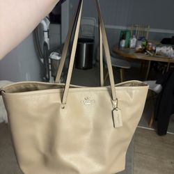 Christmas Special Coach Bag OBO