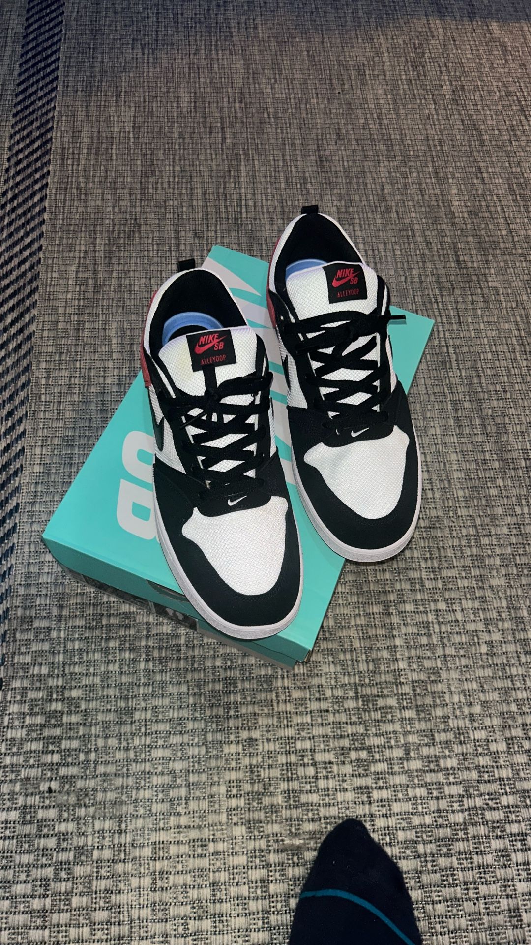 Nike SB Alleyoop