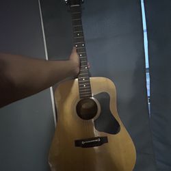 Guitar ( Madeira ) 