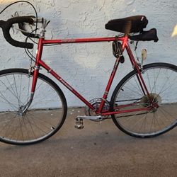 Panasonic 10 Speed Sport Deluxe for Sale in Mesa, AZ OfferUp