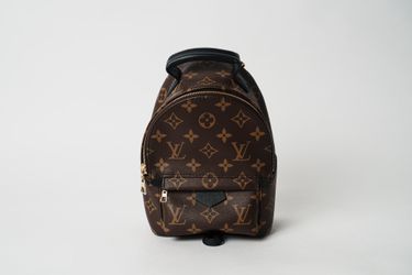 🌹 LV Palm Springs Mini 🌹