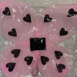 Little Girls Heart Butterfly Wings