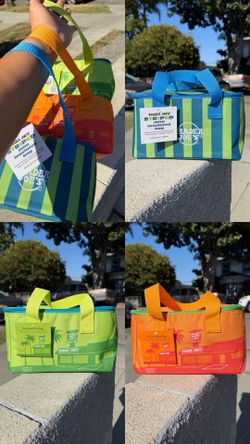 Trader Joe’s Mini Insulated Bags