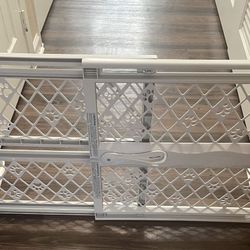 Puppy Gate, Pet 