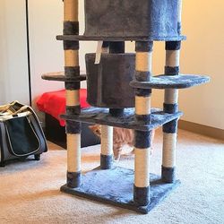 CAT TOWER