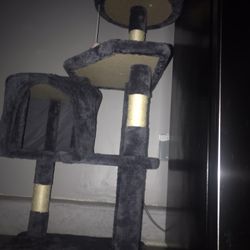 Cat Tree 
