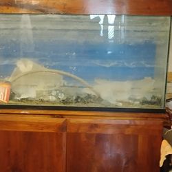 Fish Tank