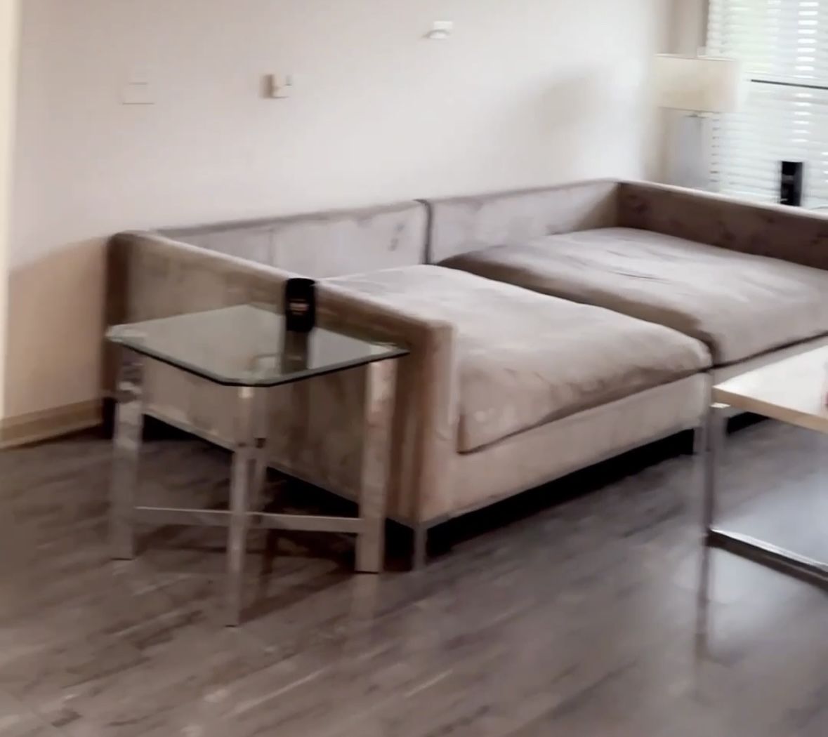 Z Gallery Couch And Table