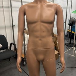 male mannequin Full Body