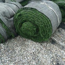 Artificial Grass For You!!!