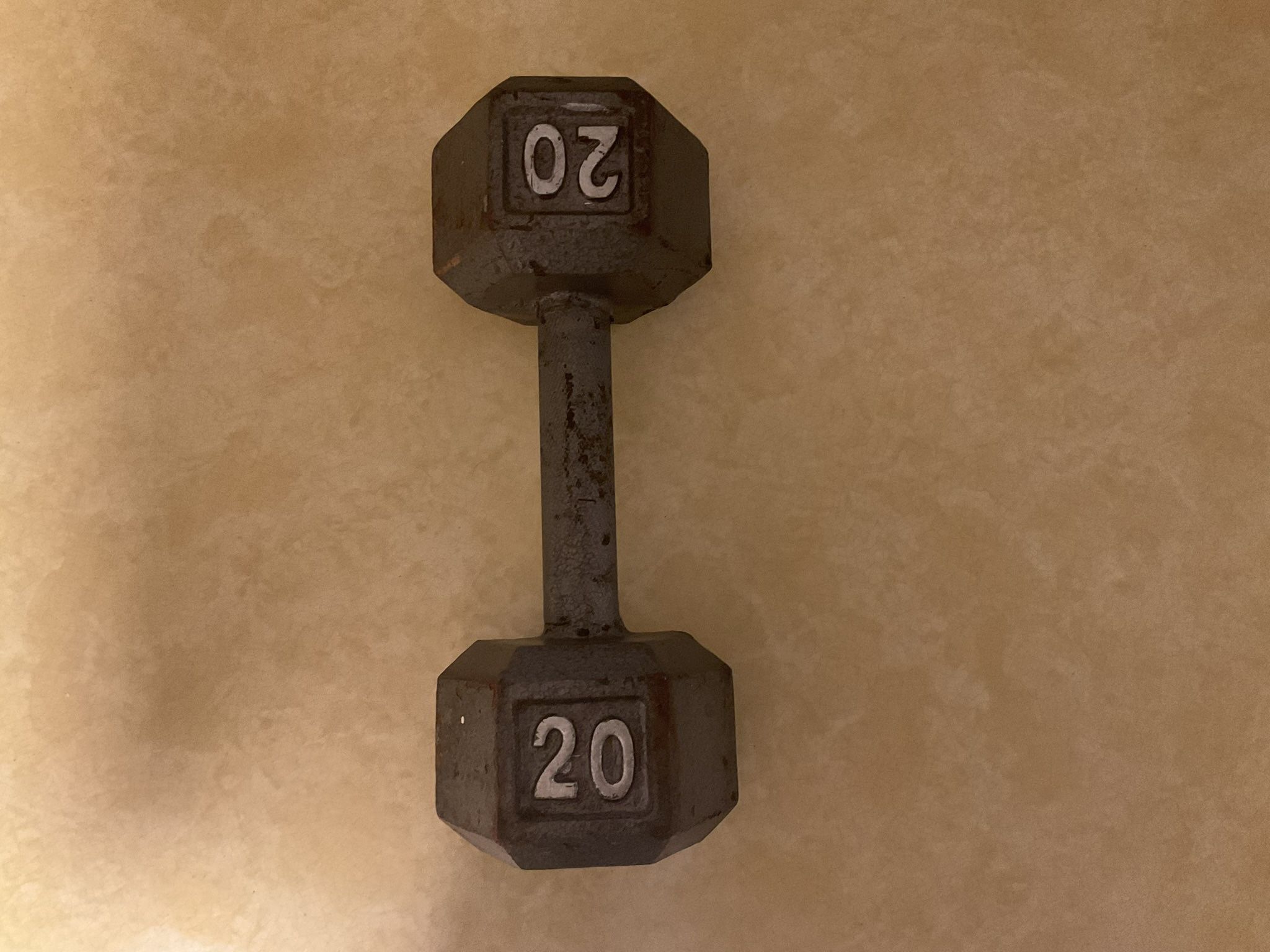One 20lb Hex Dumbell