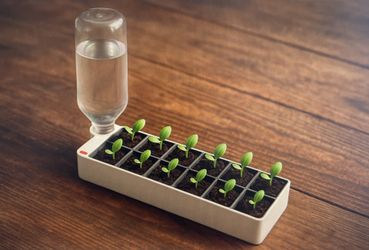 Self watering seedlings pot