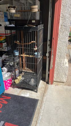Bird Cage- Large