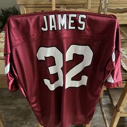 Cardinals NFL Jersey Nr 32 (James)
