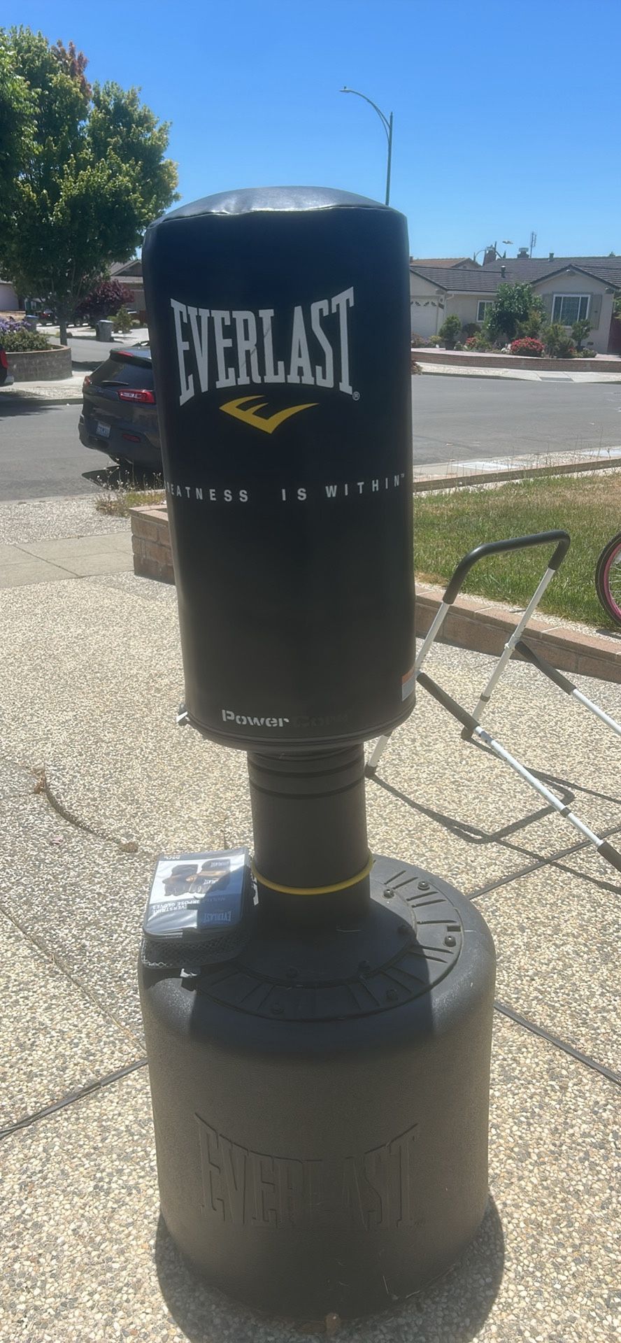Everlast Punching bag