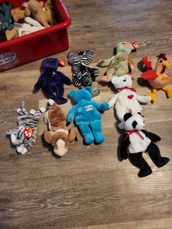 Beanie Baby collection set