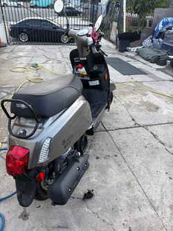 Genuine Scooter Co. Buddy Kick Scooter