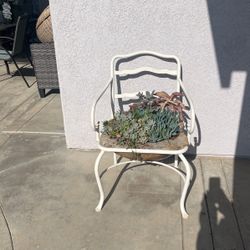Succulent Art Chair 