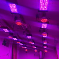 900 watt full spectrum LED grow lights