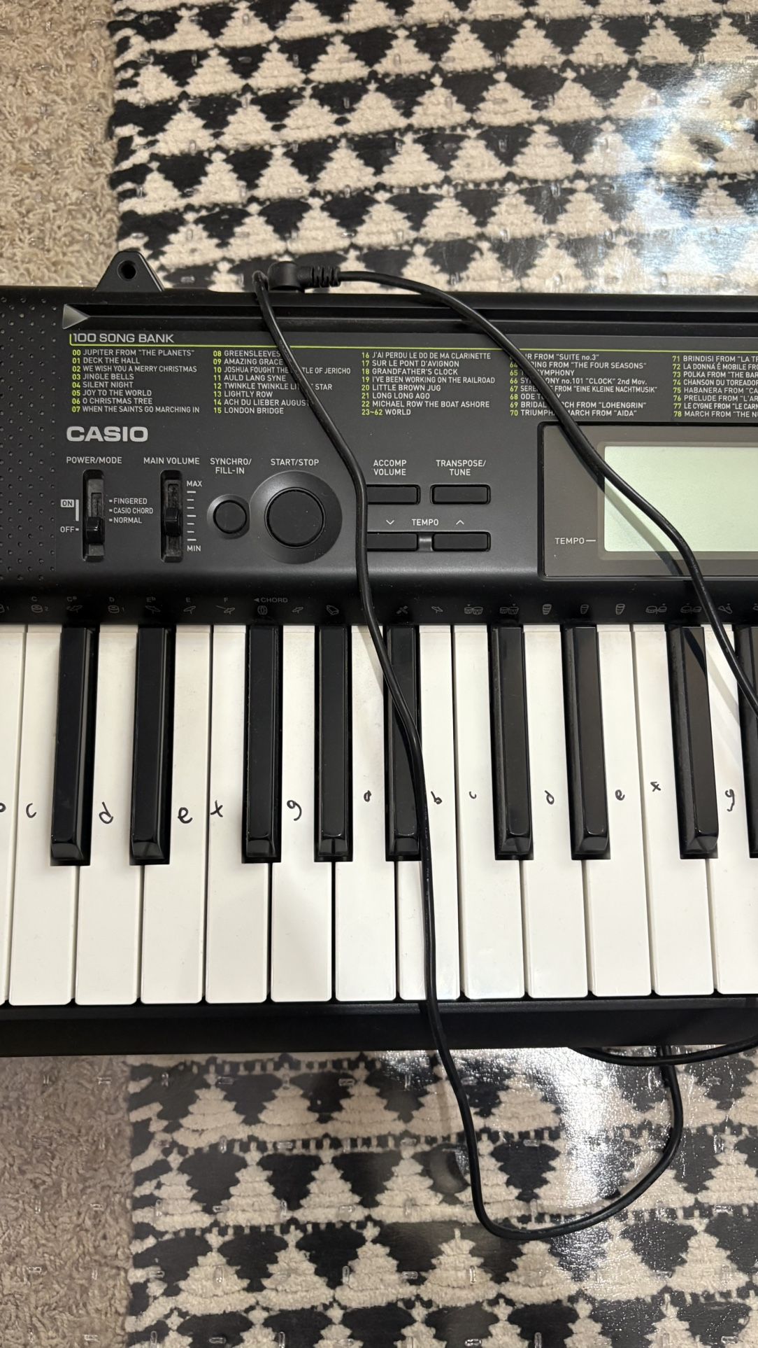 Casio Electric Keyboard/Piano