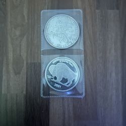 Buffalo And American Eagle Silver Coins