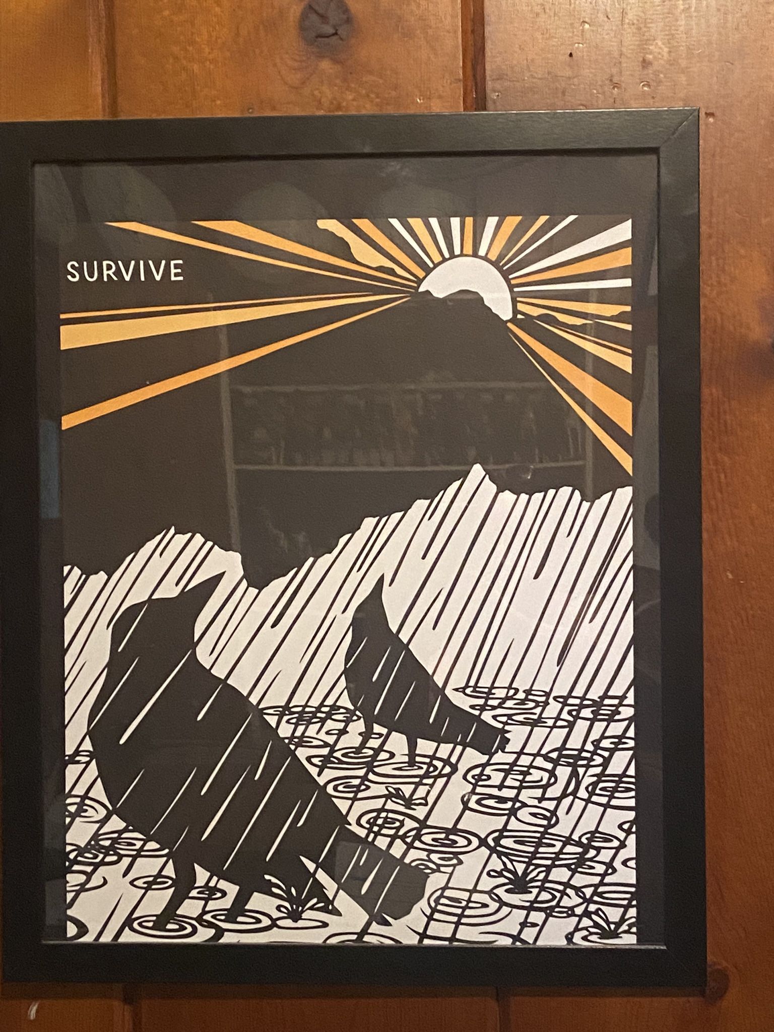 framed Nikki McClure prints