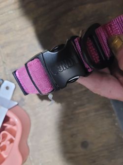 Heavy duty girl pink collar