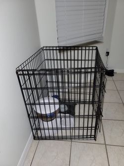 Dog Cage