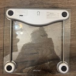 Taylor Weight Scale