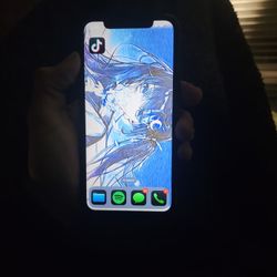 IPHONE XR WITH TIKTOK