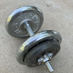 35 lbs adjustable dumbbell