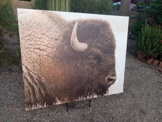 Buffalo Wall Art