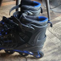 Roller Blades