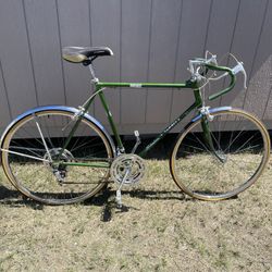 Schwinn 410 sale