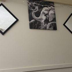 Elephant canvases and 2 mirrors
